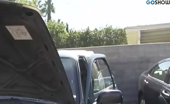 Pleasurefilled Encounters A Wild Ride to Climax